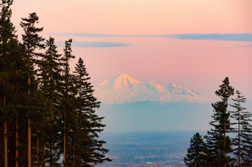 29 Hickory Drive, Port Moody, BC 