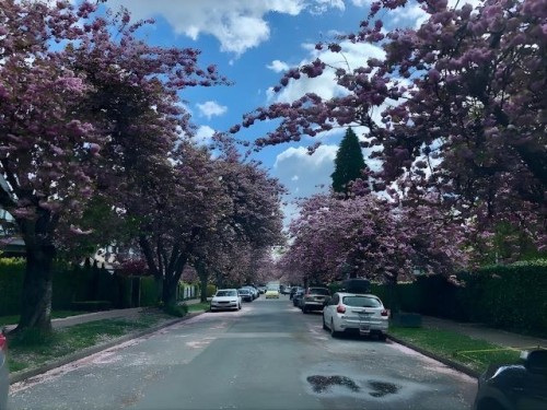 181 13Th Avenue W, Vancouver, BC 