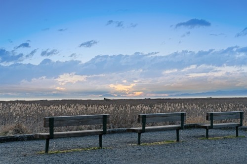 3560 Francis Road, Richmond, BC 