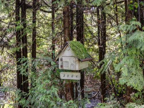 3904 Westridge Avenue, West Vancouver, BC 