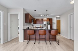 906-1155 Seymour Street  Vancouver, BC V6B 1K2