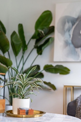 2156 Pender Street E, Vancouver, BC 