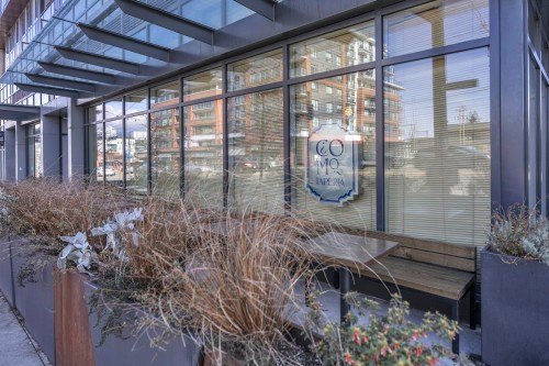 509-251 7Th Avenue E, Vancouver, BC 