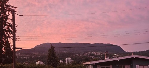 3361 Viewmount Place, Port Moody, BC 
