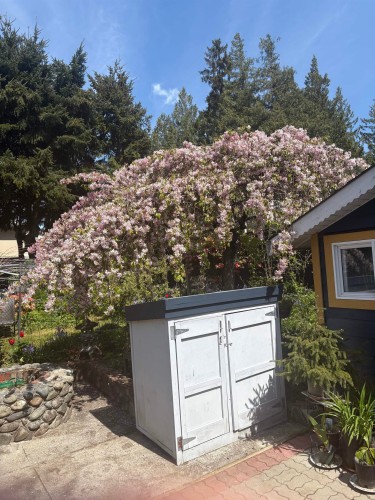 5702 Medusa Street, Sechelt, BC 