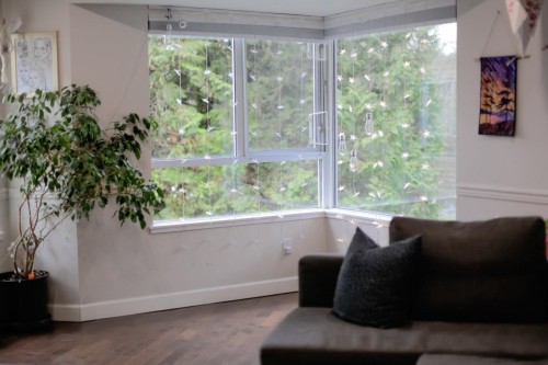 221-1215 Lansdowne Drive  Coquitlam, BC V3E 2P6