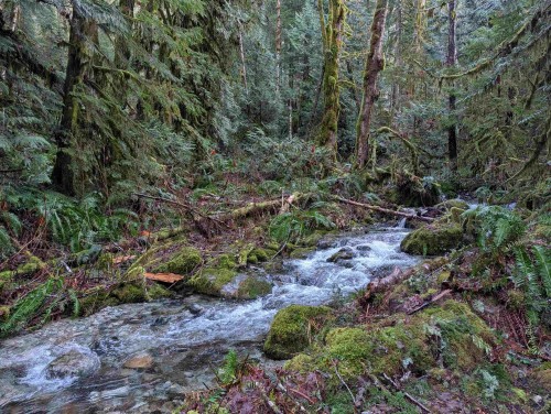 2045 Rustad Road N, Squamish, BC 