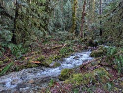 2045 Rustad Road N Squamish, BC V0N 3G0