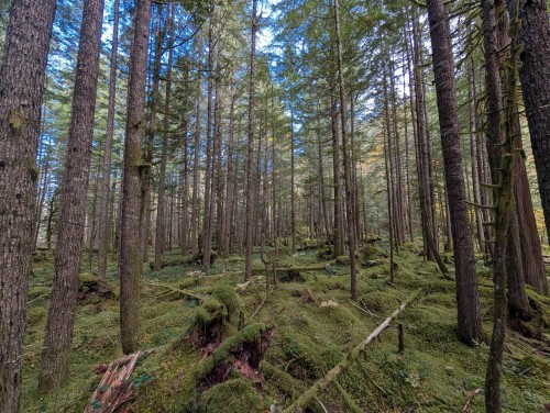 2045 Rustad Road N, Squamish, BC 