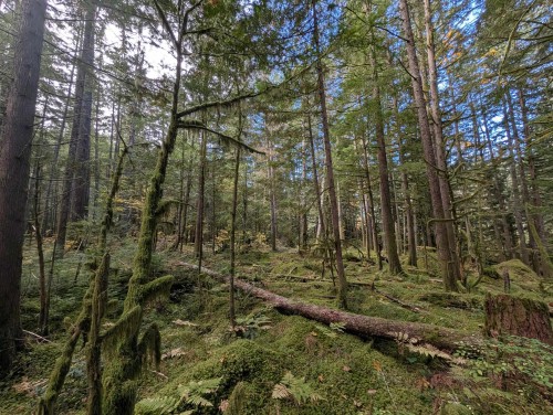 2045 Rustad Road N, Squamish, BC 