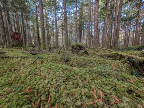 2045 Rustad Road N, Squamish, BC 