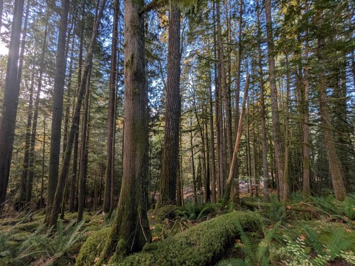 2045 Rustad Road N, Squamish, BC 