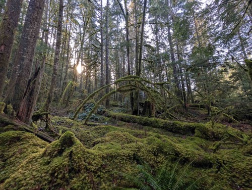 2045 Rustad Road N, Squamish, BC 