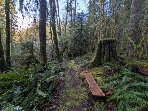 2045 Rustad Road N, Squamish, BC 