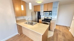 3008-909 Mainland Street  Vancouver, BC V6B 1S3