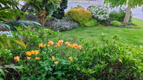 503 Eaglecrest Drive, Gibsons, BC 