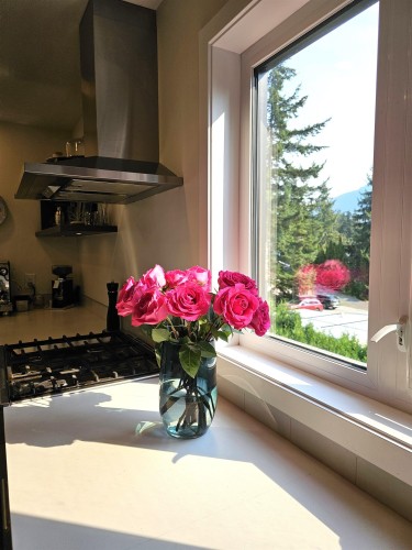 40755 Thunderbird Ridge, Squamish, BC 