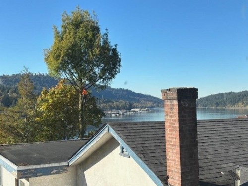 1038 Ioco Road, Port Moody, BC 