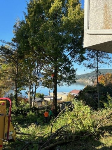 1038 Ioco Road, Port Moody, BC 