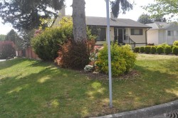 3796 Peter Street  Burnaby, BC V5J 1N4