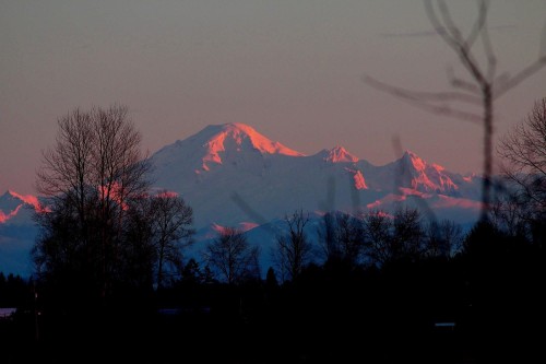 4027 Joseph Place, Port Coquitlam, BC 