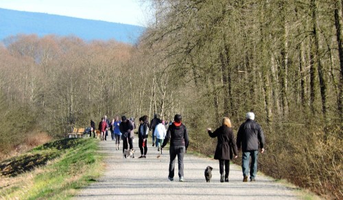 4027 Joseph Place, Port Coquitlam, BC 