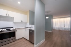 310-1177 Hornby Street  Vancouver, BC V6Z 2E9