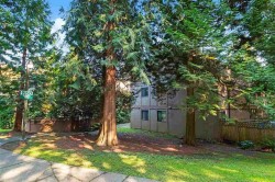 303-9150 Saturna Drive Burnaby, BC V3J 7K2