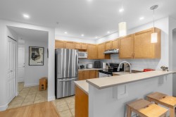 302-333 East 1st Street  North Vancouver, BC V7L 4W9