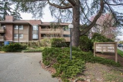 214-7411 Minoru Boulevard  Richmond, BC V6Y 1Z3
