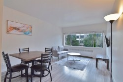 111-1540 Haro Street Vancouver, BC V6G 1G6