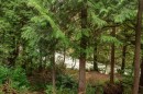 3332 Turner Avenue, Coquitlam, BC 