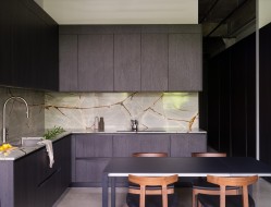 205-546 Beatty Street  Vancouver, BC V6B 2L3