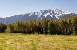 LOT 1 Pemberton Farm Road Pemberton, BC V0N 2L0