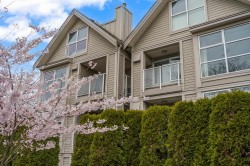 204-3168 Laurel Street  Vancouver, BC V5Z 3T8