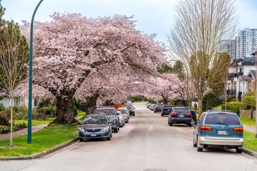 36 60Th Avenue E, Vancouver, BC 