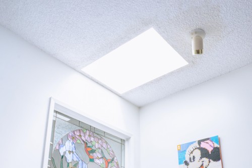 9151 No. 4 Road, Richmond, BC 