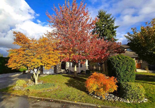 20492 Walnut Crescent, Maple Ridge, BC 