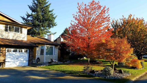 20492 Walnut Crescent, Maple Ridge, BC 