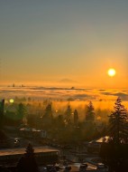 1606-7063 Hall Avenue Burnaby, BC V5E 0A5