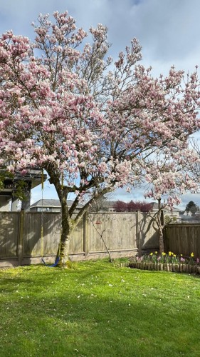 7540 Barkerville Court, Richmond, BC 