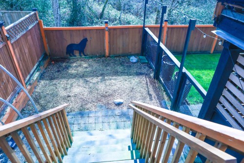 24170 Hill Avenue, Maple Ridge, BC 