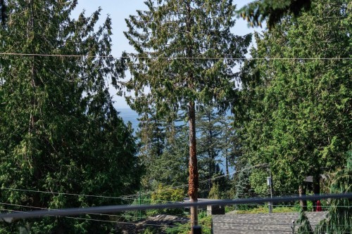 5061 Bear Lane, West Vancouver, BC 