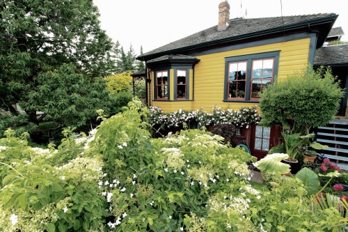 217 Ninth Street  New Westminster, BC V3M 3V4