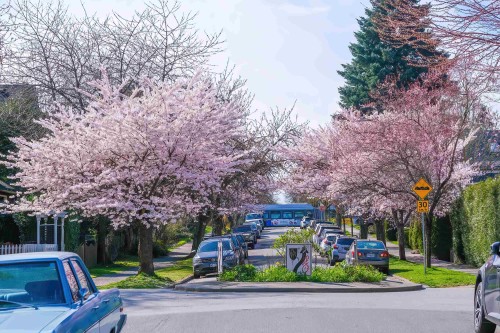 826 13Th Avenue E, Vancouver, BC 