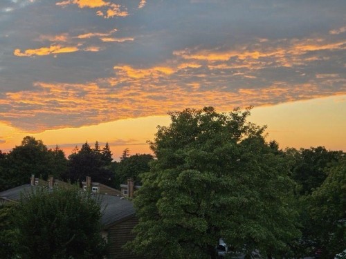 309-9151 No 5 Road  Richmond, BC V7A 4E1