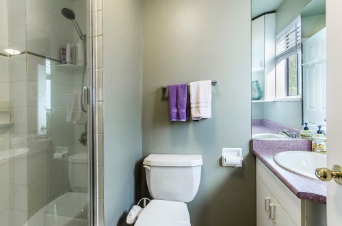 343 Dartmoor Drive, Coquitlam, BC 