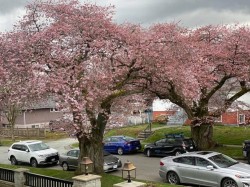 3653 25th Avenue E Vancouver, BC V5R 1K4