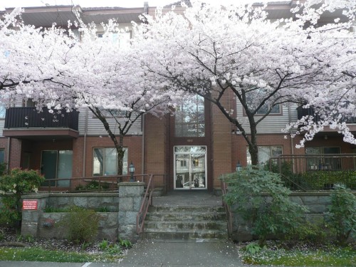 209-6688 Burlington Avenue  Burnaby, BC V5H 3M9