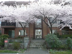 209-6688 Burlington Avenue Burnaby, BC V5H 3M9